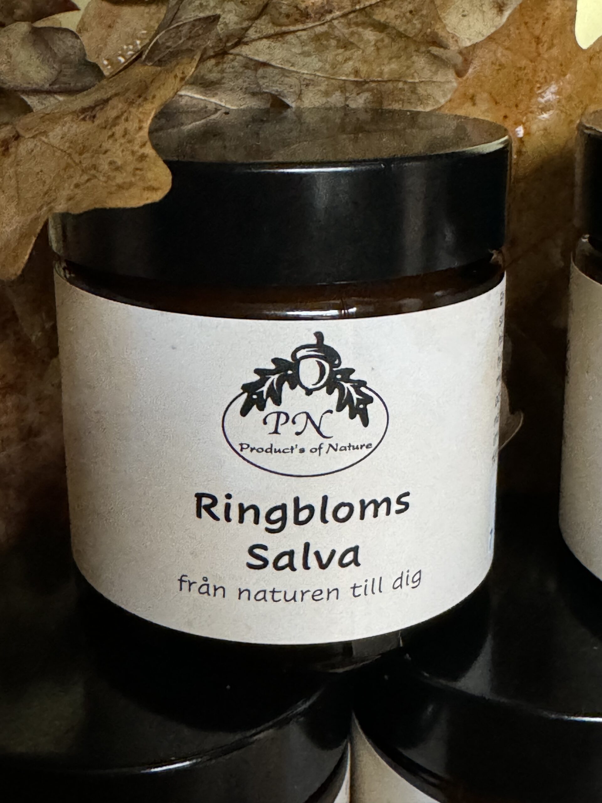 Ringblomssalvan Scaled